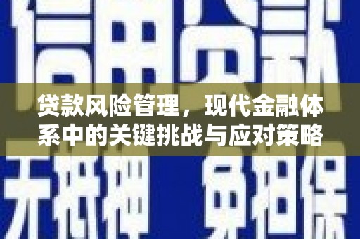 卫东贷款风险管理，现代金融体系中的关键挑战与应对策略