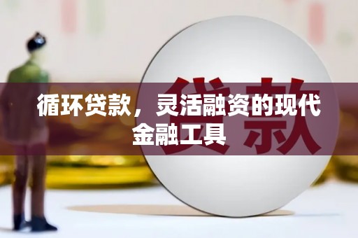 卫东循环贷款，灵活融资的现代金融工具
