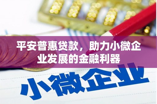 卫东平安普惠贷款，助力小微企业发展的金融利器