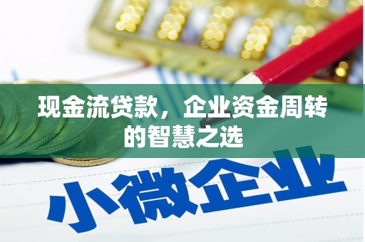 卫东现金流贷款，企业资金周转的智慧之选