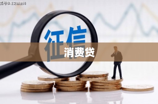 卫东消费贷