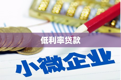 卫东低利率贷款