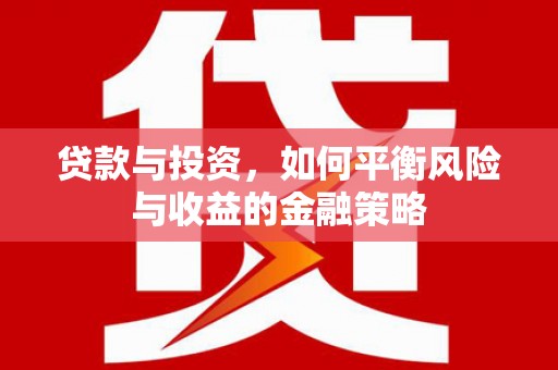 卫东贷款与投资，如何平衡风险与收益的金融策略