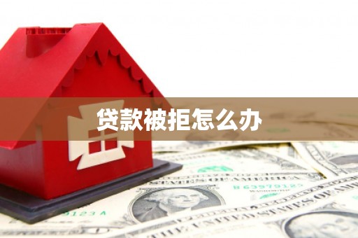 卫东贷款被拒怎么办