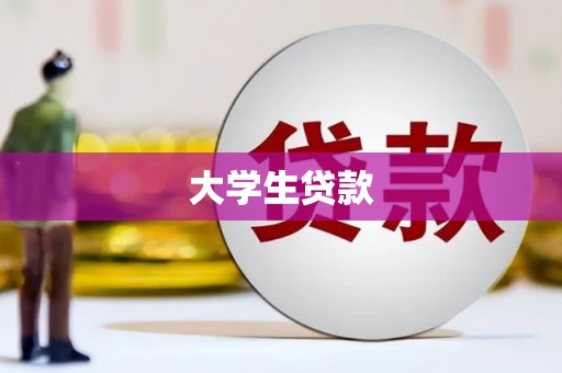 卫东大学生贷款
