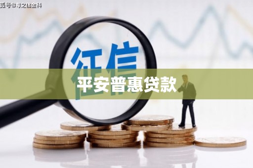 卫东平安普惠贷款