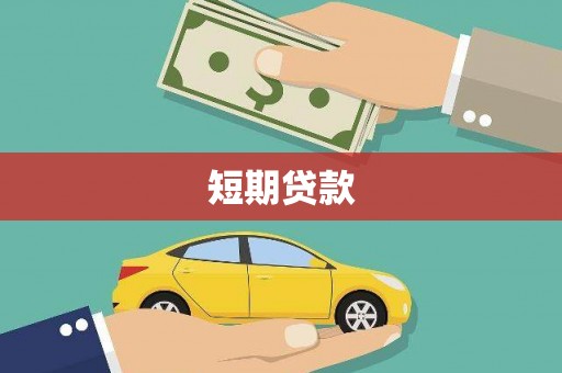 卫东短期贷款
